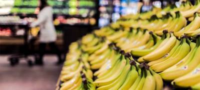 Цены на бананы в России побили пятилетний рекорд