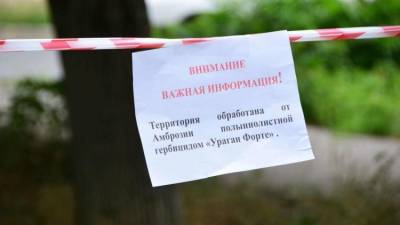 Симферополь объявил войну амброзии: обработаны улицы и парки