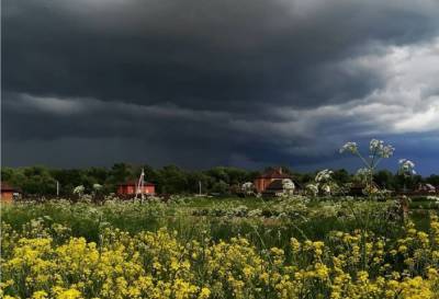 Адской жаре подходит конец: на выходных в Украину ворвутся дожди с грозами – прогноз Диденко