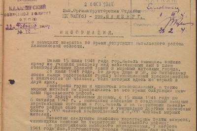 Записку о расстрелах мирных жителей Невельского района показали архивисты