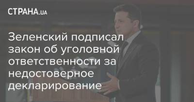 Зеленский подписал закон об уголовной ответственности за недостоверное декларирование