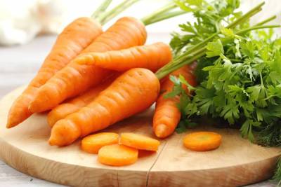Как вырастить морковь на садовом участке