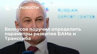 Вице-премьер Андрей Белоусов поручил определить перспективные параметры развития БАМа и Транссиба