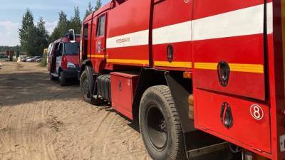 В Ленобласти загорелся лес в Приозерском районе