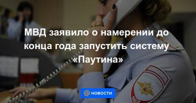 МВД заявило о намерении до конца года запустить систему «Паутина»