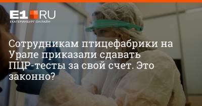 Сотрудникам птицефабрики на Урале приказали сдавать ПЦР-тесты за свой счет. Это законно?