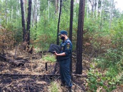 В Иркутской области дым от лесных пожаров окутал 38 населенных пунктов