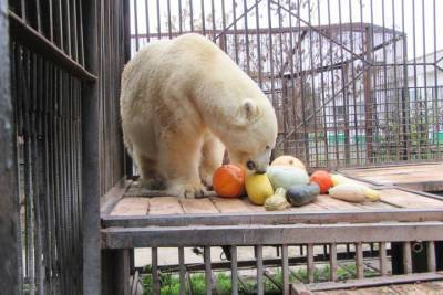 Зоопарку в Северске выдана бессрочная лицензия на осуществление деятельности