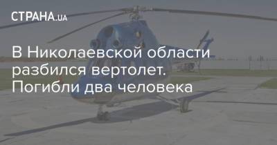 В Николаевской области разбился вертолет. Погибли два человека
