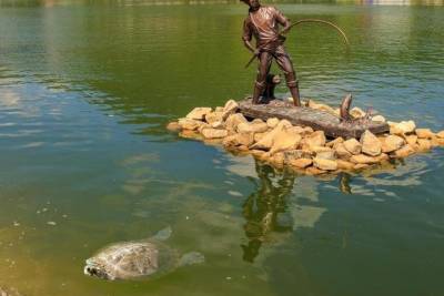 В Курортном озере Железноводска замечена гигантская черепаха