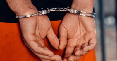 Полиция США в рамках спецоперации арестовала 40 педофилов