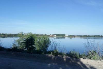 В Новомичуринске Рязанской области дачники выловили из водохранилища человеческий череп
