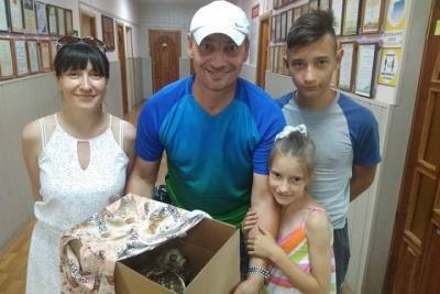 Помощь смоленской семьи стала спасительной для погибающей совы