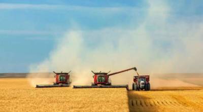 Украина планирует собрать около 76 миллионов тонн зерна в этом году