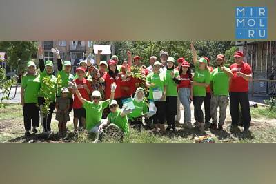 В Махачкале провели акцию «Зеленый двор»