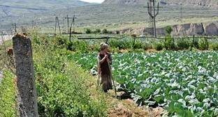 Фермеры Кабардино-Балкарии потребовали прямого ответа чиновников на вопросы о субсидировании