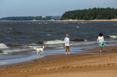 В Финском заливе до +26 градусов нагрелась вода - neva.today - Санкт-Петербург - Экология