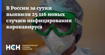 В России за сутки выявили 25 116 новых случаев инфицирования коронавируса