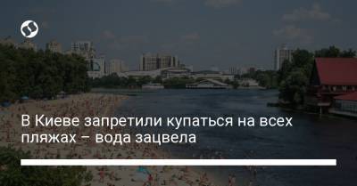 В Киеве запретили купаться на всех пляжах – вода зацвела