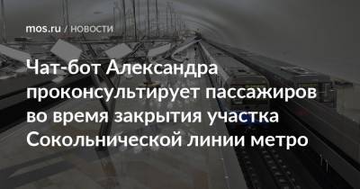 Чат-бот Александра проконсультирует пассажиров во время закрытия участка Сокольнической линии метро