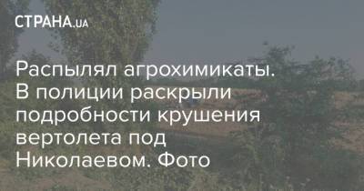 Распылял агрохимикаты. В полиции раскрыли подробности крушения вертолета под Николаевом. Фото