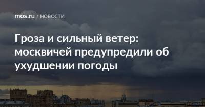 Гроза и сильный ветер: москвичей предупредили об ухудшении погоды