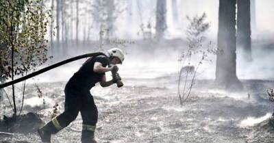 Вблизи Сигулды продолжается тушение лесных пожаров