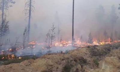 «Как в аду». Местный житель рассказал, как сейчас обстоят дела в поселке Найстенъярви, где горят леса