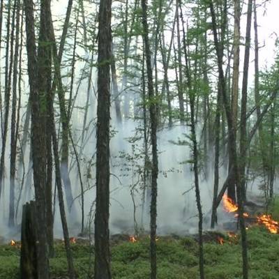 Глава Кубани поручил принять меры против природных пожаров