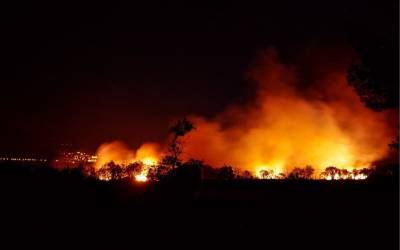 В США распространяется огромный лесной пожар и мира