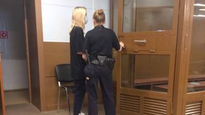 Сбившую на переходе троих детей москвичку поместили под домашний арест