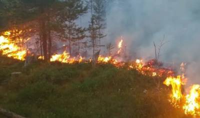 Площадь лесных пожаров в Карелии за сутки увеличилась в два раза