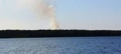 Возгорание леса произошло в Кондопожском районе Карелии