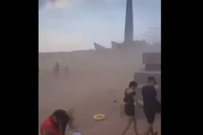По парку 300-летия Петербурга прошлась песчаная буря
