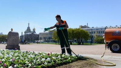 На полив газонов и деревьев в Петербурге потратили 1,2 тыс. кубометров воды
