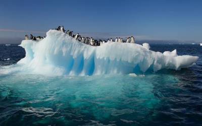 Изменения из-за потепления климата в Антарктиде сделают планету непригодной для жизни