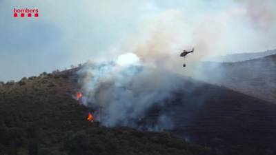 Лес в Каталонии горит из-за брошенного на дорогу окурка