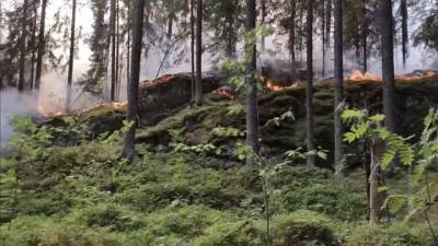 Природным пожарам способствуют аномальная жара и сухие грозы