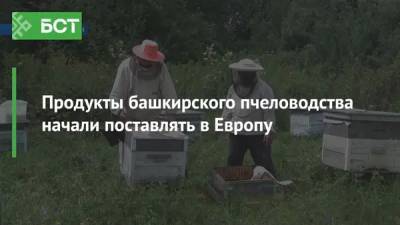 Продукты башкирского пчеловодства начали поставлять в Европу