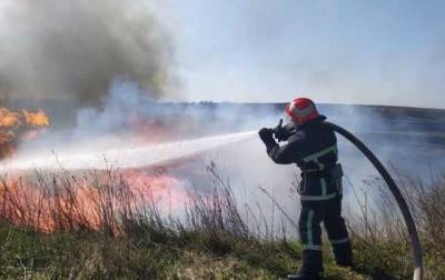 Пожежі в Луганській області: Рада вимагає звільнити регіонального начальника ДСНС