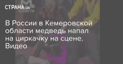 В России в Кемеровской области медведь напал на циркачку на сцене. Видео