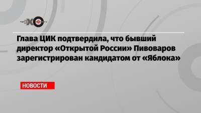 Глава ЦИК подтвердила, что бывший директор «Открытой России» Пивоваров зарегистрирован кандидатом от «Яблока»