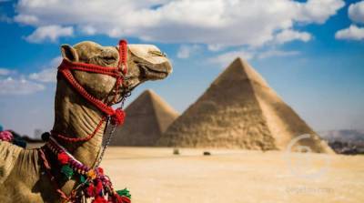 В Египте планируют платно вакцинировать туристов из Украины