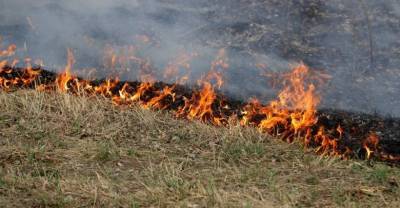 Дачникам могут разрешить сжигать сухую траву в 15 метрах от построек