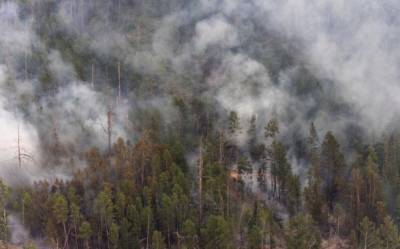 Россия: из-за лесных пожаров в Якутии приостановили паромное и авиасообщение