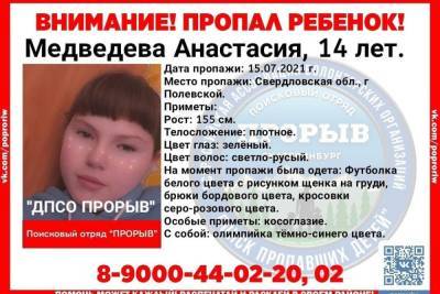 Четвертый день идут поиски 14-летней Анастасии в Свердловской области