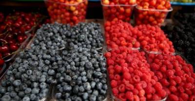 Диетолог рассказала, кому противопоказаны сезонные ягоды и фрукты
