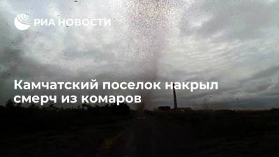 Поселок Усть-Камчатск накрыл смерч из комаров