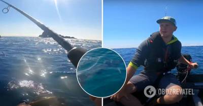 В Великобритании двухметровая акула кружила вокруг рыбака на маленькой лодке. Видео