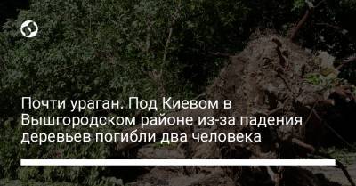 Почти ураган. Под Киевом в Вышгородском районе из-за падения деревьев погибли два человека